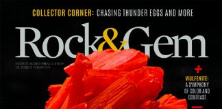 Issue Highlights: February 2019