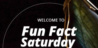 Saturday Fun Facts: Lapidary