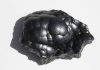 Rock & Gem Kids: Weird Words – Reniform Reniform hematite
