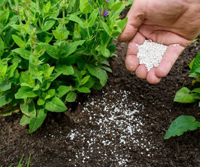 Fertilizing a Garden rocks-minerals-in-plant-growth