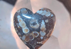 What to Cut: Turritella Agate turritella-agate